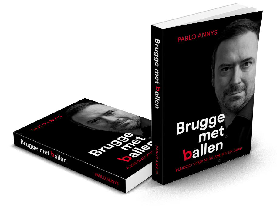Brugge met ballen boek